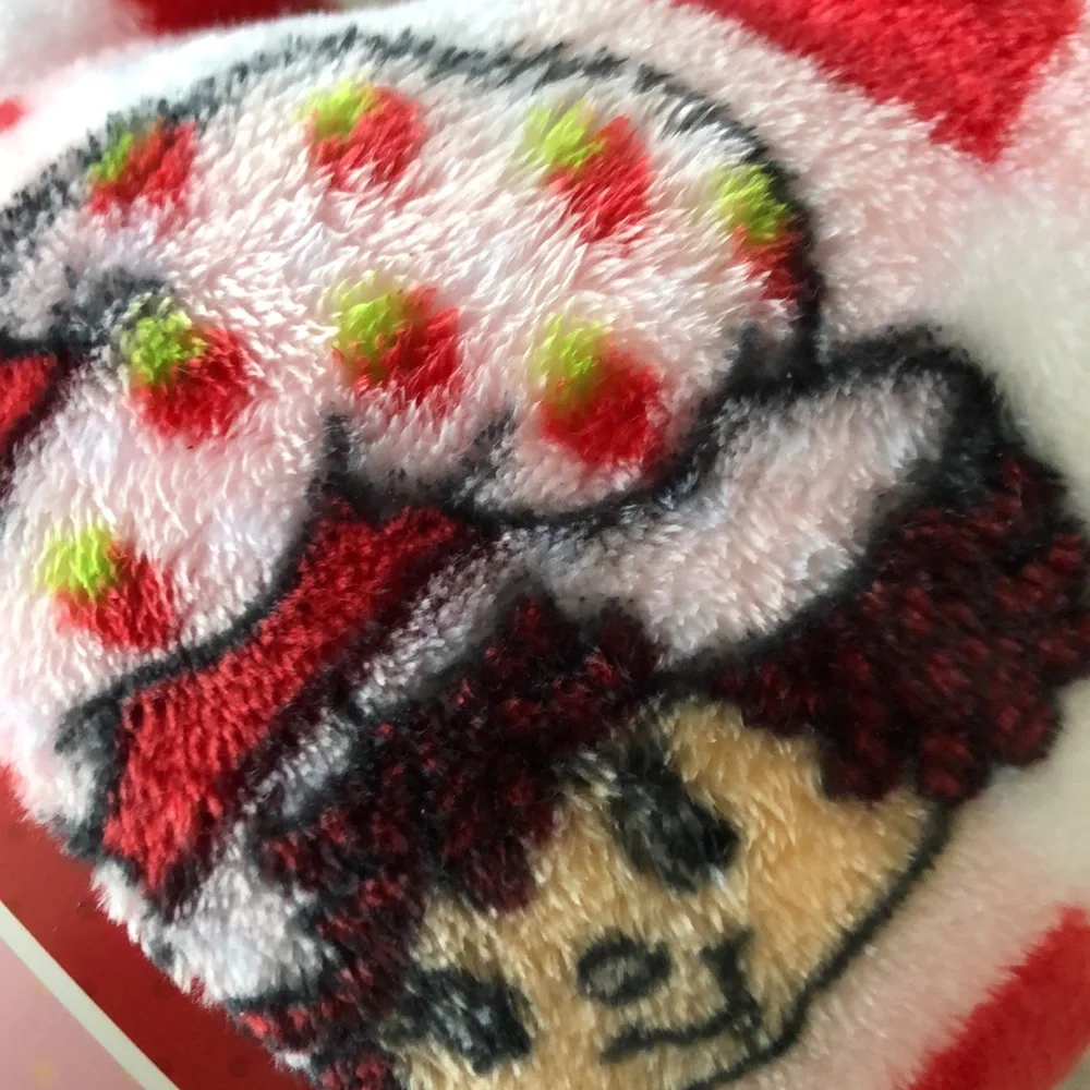 Strawberry Shortcake Cozy Pet Throw Blanket